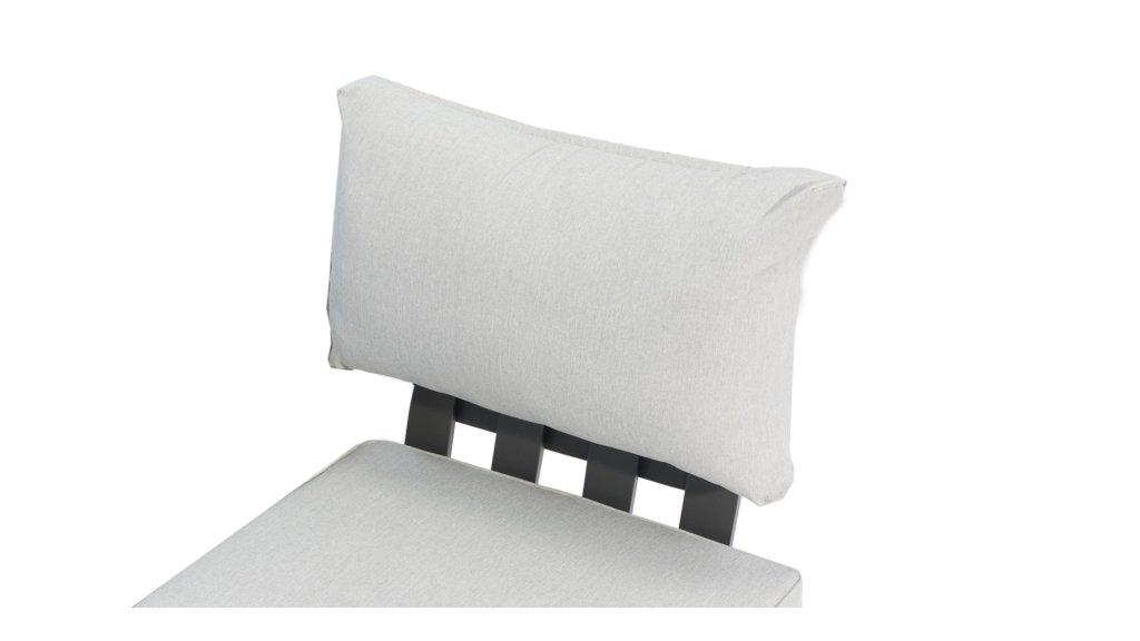 zebra fly loungeset rugkussen