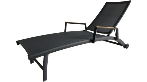 zebra fly ligbed graphite